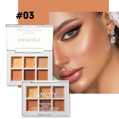Multicolor Concealer Palette