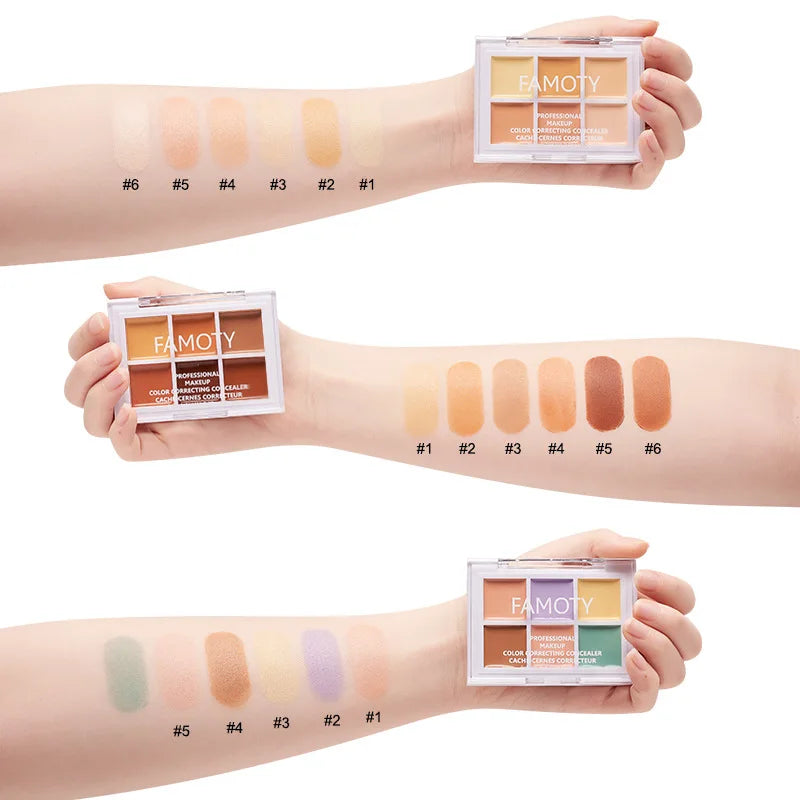 Multicolor Concealer Palette