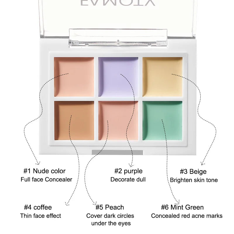 Multicolor Concealer Palette