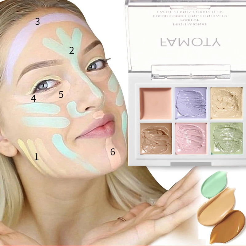 Multicolor Concealer Palette