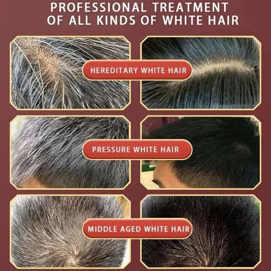 Natural Plant Herbal Hair Dye Shampoo