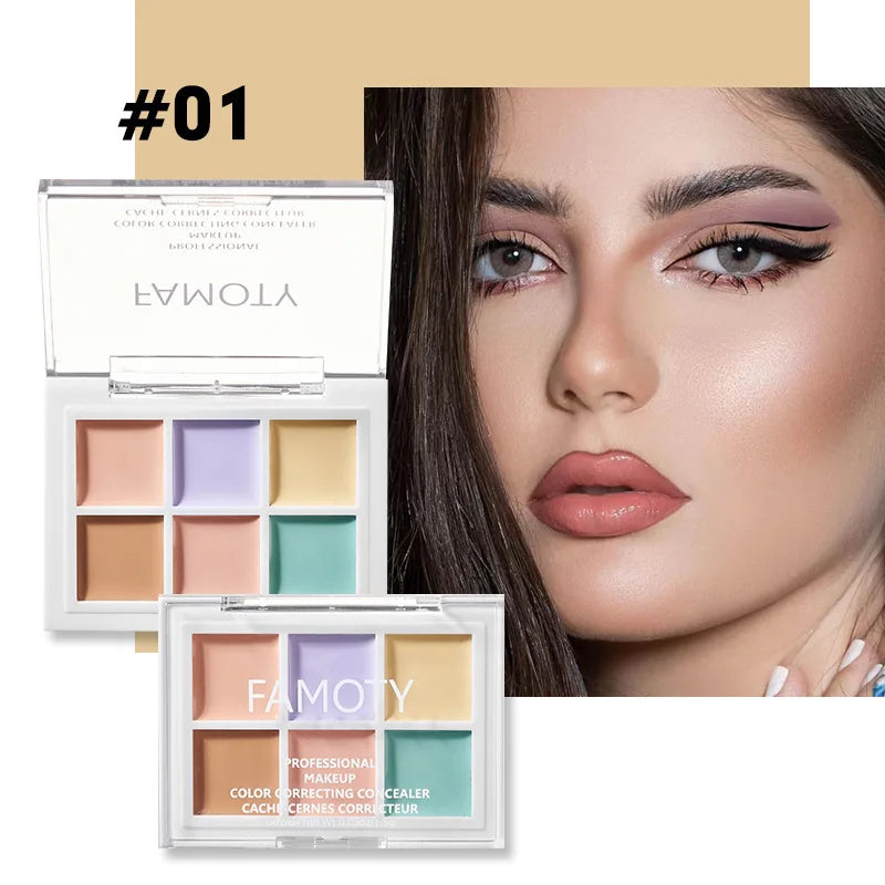 Multicolor Concealer Palette